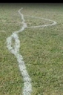 Sidelinje2