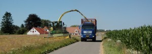 Roelykken