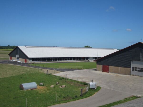 Hjemmeside%20066