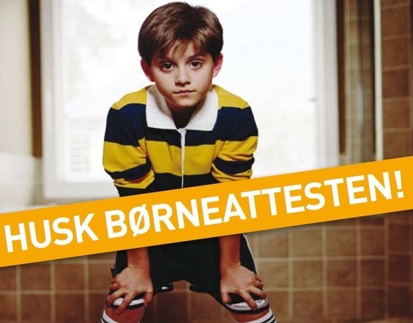 Dskyu-2016-boerneattest