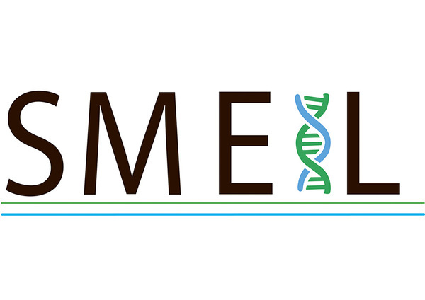 Smeil