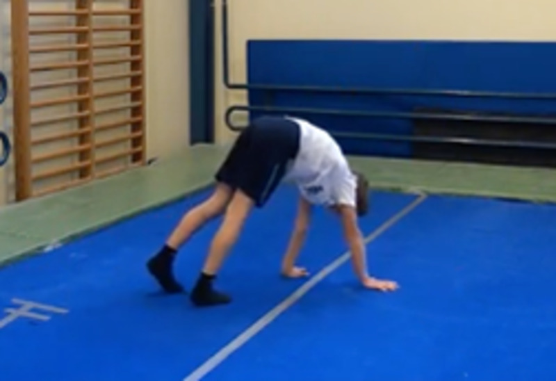 Mobility training