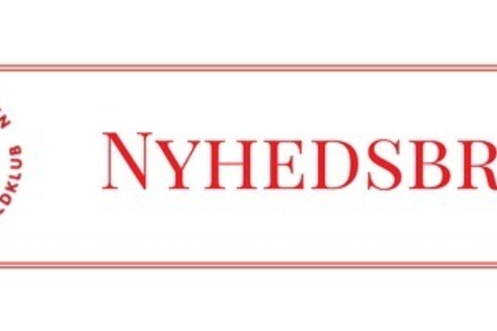 Nyhedsbrev-2