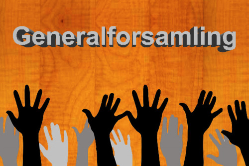 Generalforsamling