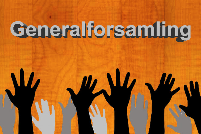 Generalforsamling