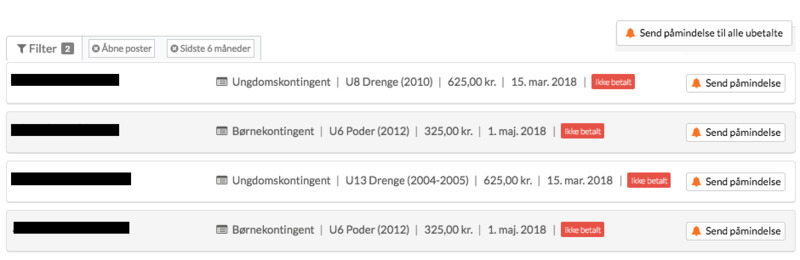 Kasserer i en forening