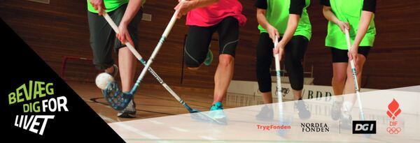 Bdfl%20motions%20floorball