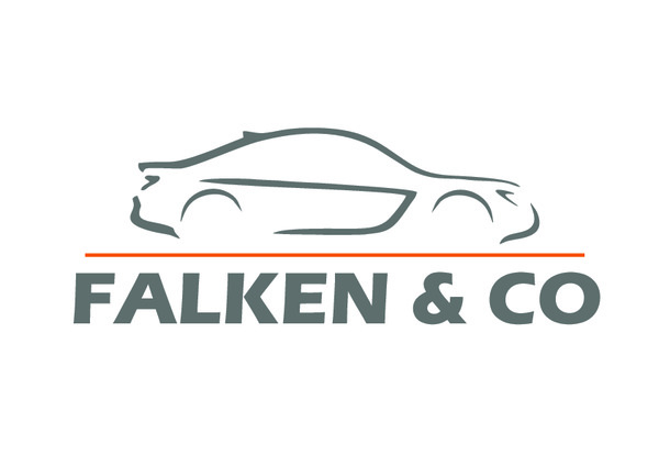 Falken%20logo