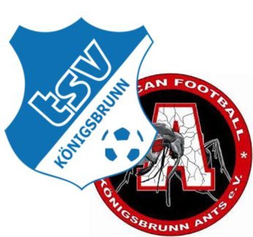 Tsv_ants