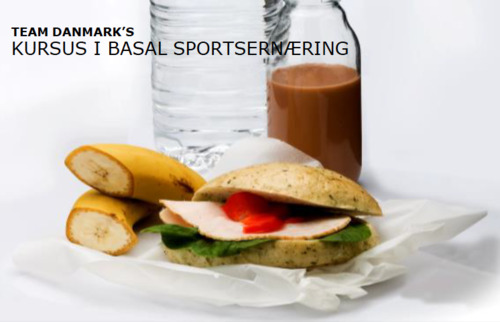 Basal%20sportsern%c3%a6ring%20team%20danmark