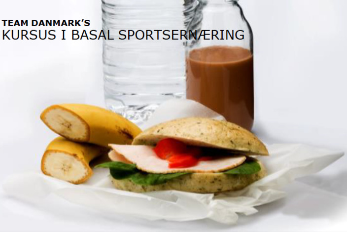 Basal%20sportsern%c3%a6ring%20team%20danmark