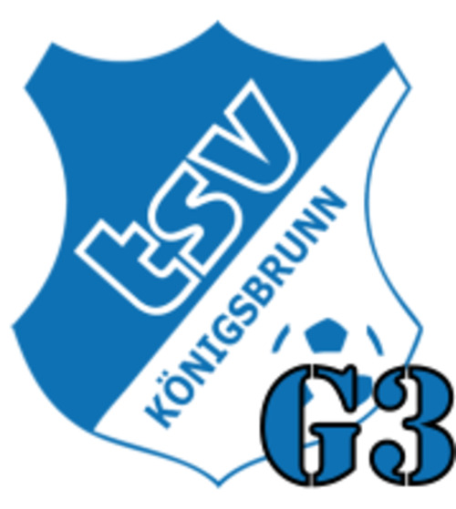 G3