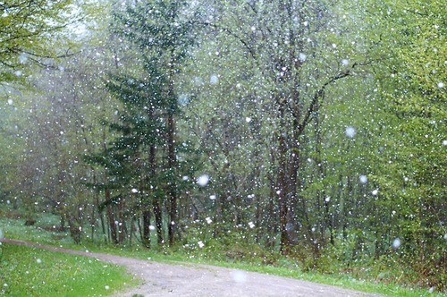 Rain-2775032_640