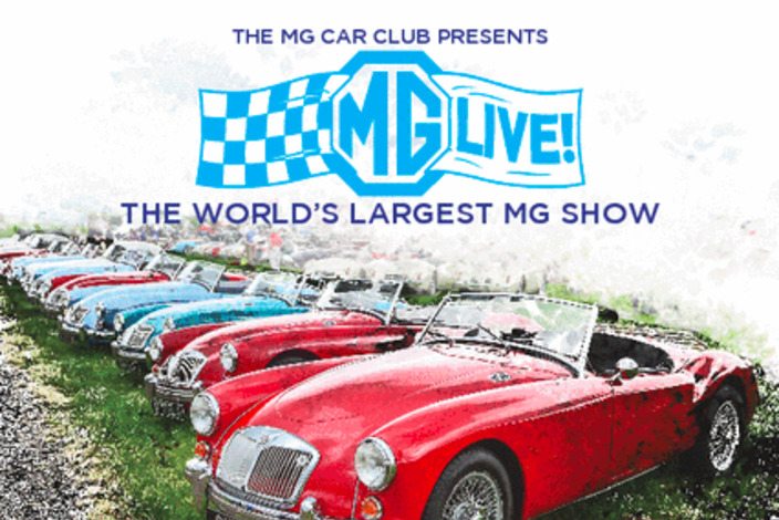 Mg