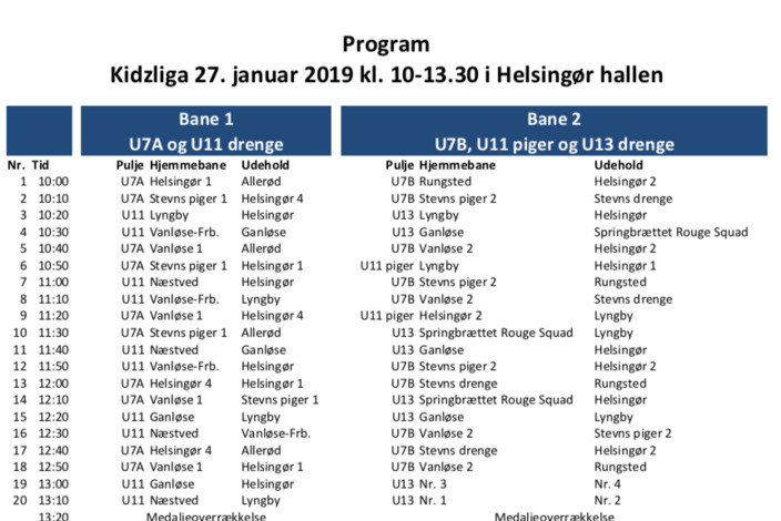 Sk%c3%a6rmbillede%202019-01-25%20kl.%2020.30.11