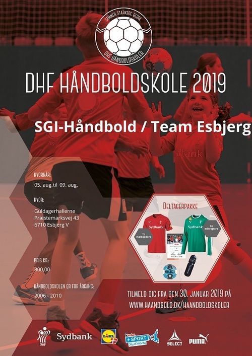 Hskole2019_530_x_749