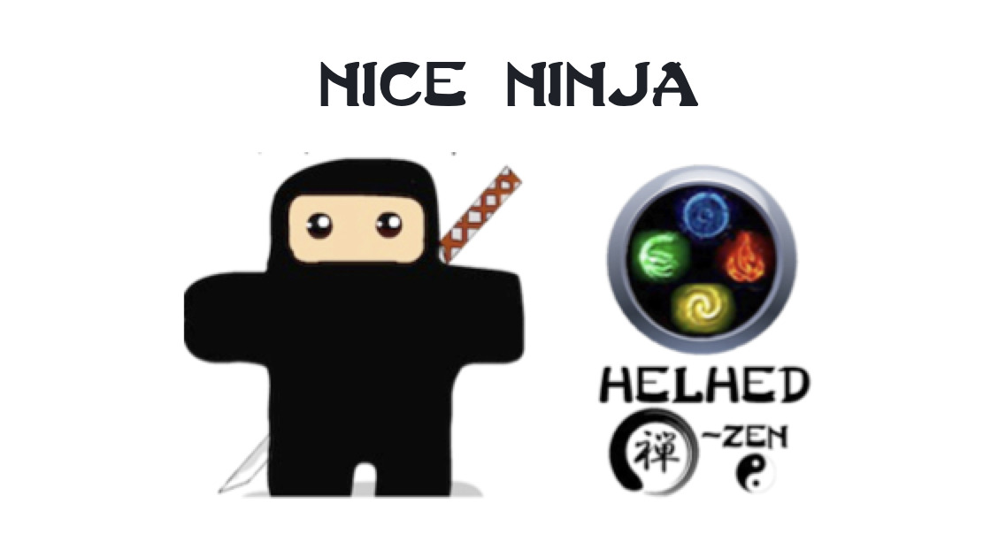 Nice Ninja Nice Ninja