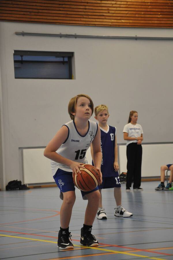 U11_skud