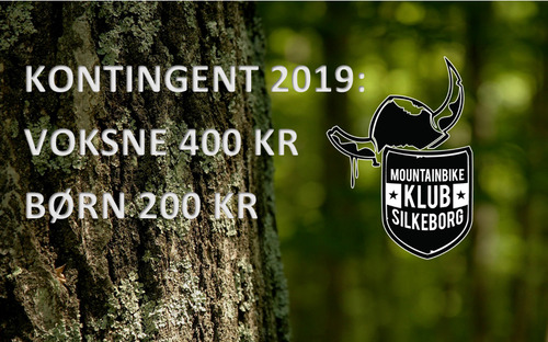 Sk%c3%a6rmbillede%202019-05-10%2009.23.48
