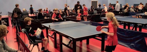 Skolebordtennis%20hiller%c3%b8d