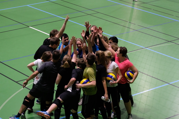 Motionsvolley