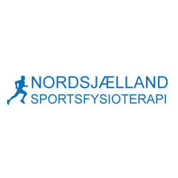 Sponsorlogo_nsf