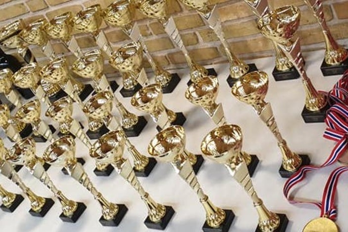Pokaler%20hvidovre%20beska%cc%8aret