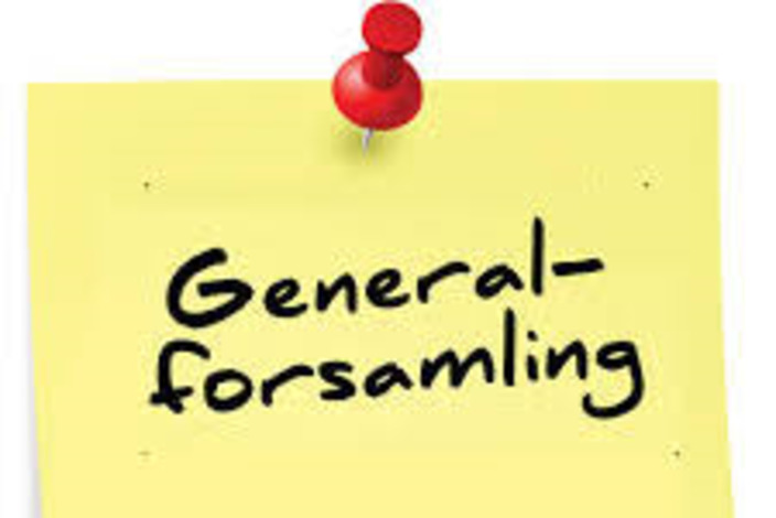 Generalforsamling