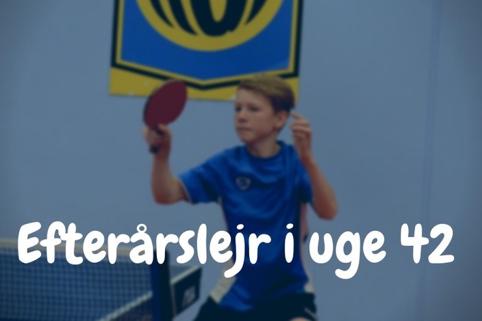 Bordtennis%20eftera%cc%8arslejr%202018%20og%2019%20hiller%c3%b8d%20%281%29