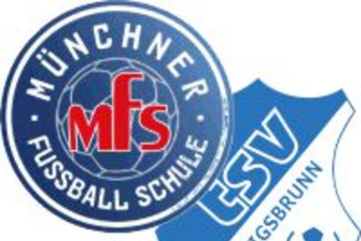 Mfs%20tsv%20200