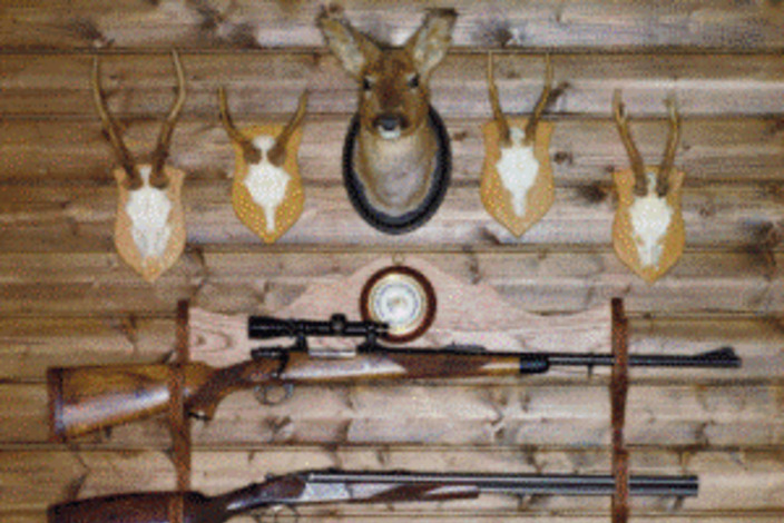 Gun%20rack