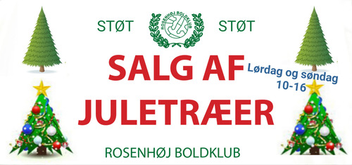 Juletr%c3%a6_banner