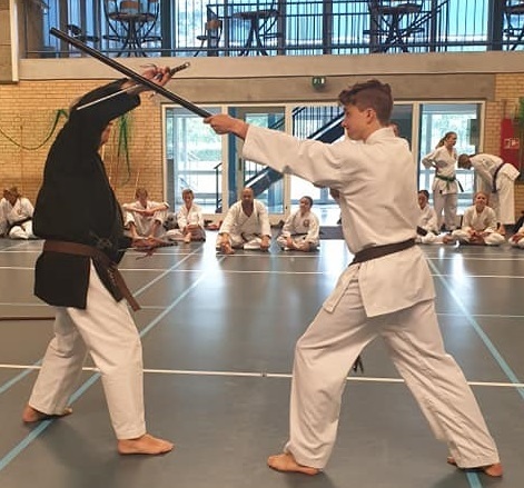 Kobodo2