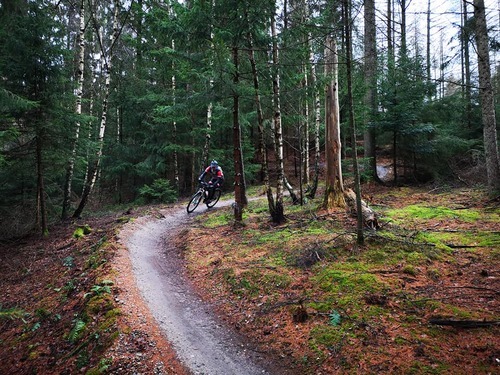 Mtb%20skov