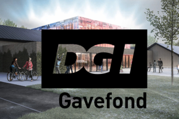 Dgi_gavefond