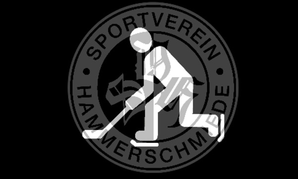Eissport