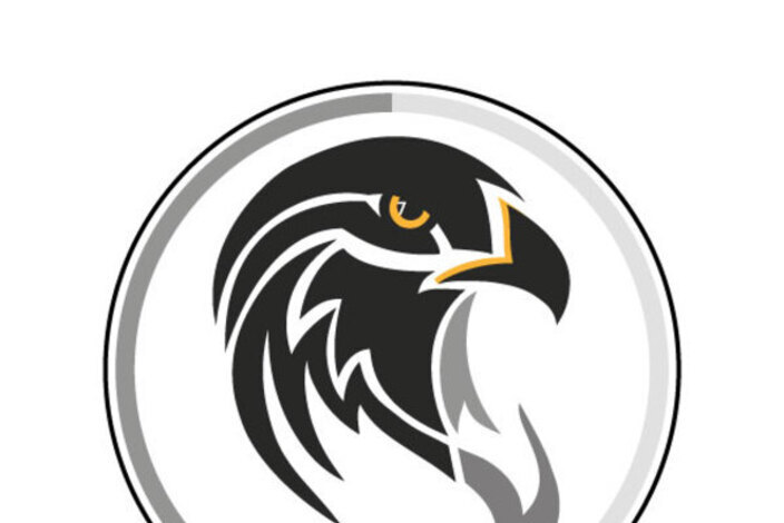 Falcon-logo