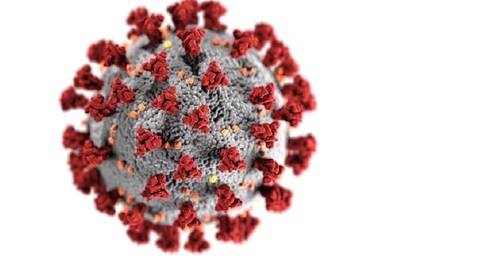 Coronavirus1