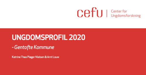 Ungdomsprofil