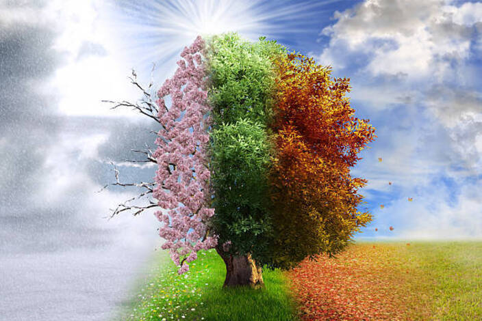 Seasons
