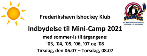 Mini-camp-2021