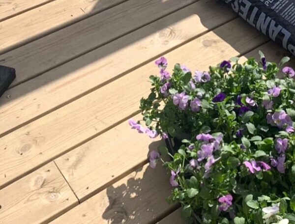 Blomster%202