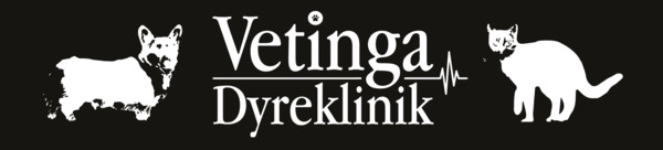 Vetinga%20dyreklinik