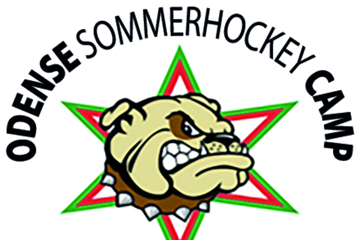 Sommerhockeycamp