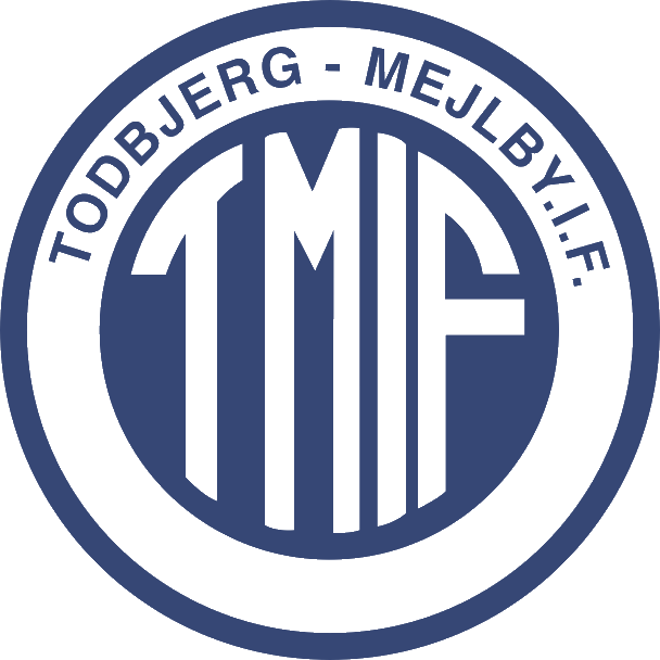 Logo%20tmif