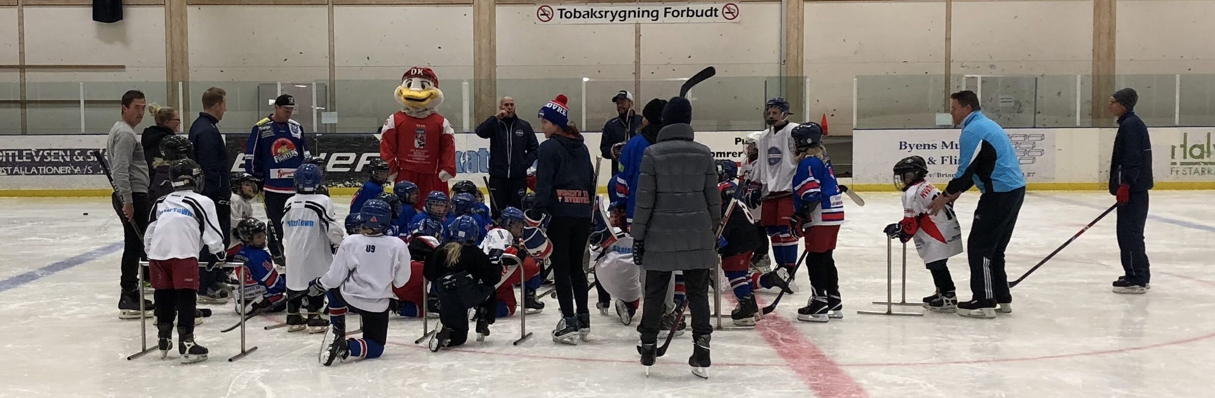 Med venlig hilsen emulsion skildpadde Rekruttering - Rekruttering - Hvidovre Ishockey Klub