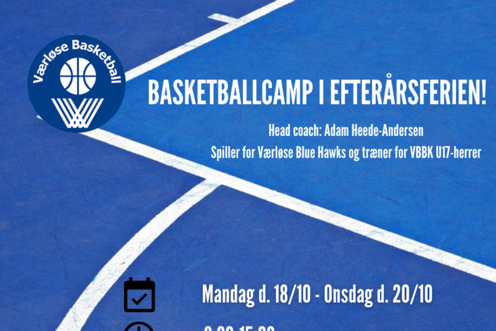 Basketballcamp%20i%20eftera%cc%8arsferien%21%20%281%29
