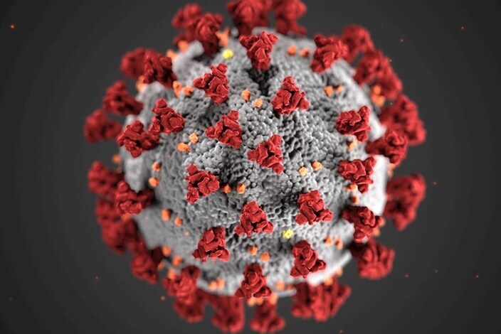Coronavirus.jpg