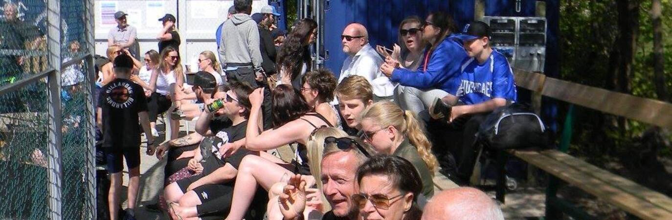 Fans