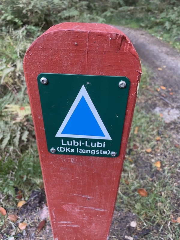 Lubi-lubi